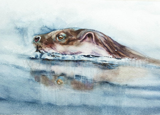 'Oscar' the otter and his relection
