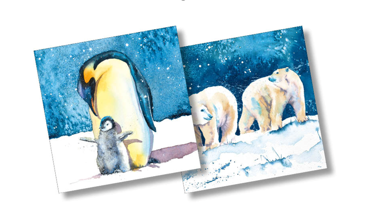 Christmas packs, Penguin and polar bear (10 cards)