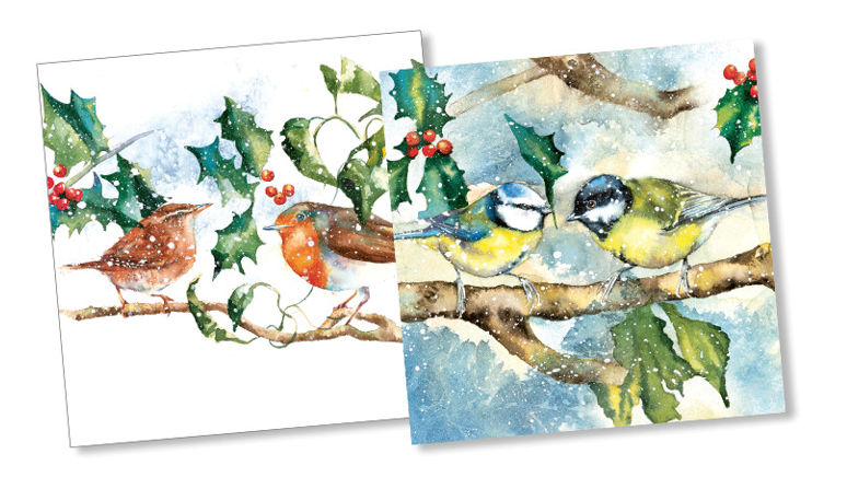 Christmas packs, Winter berries and birds (10 cards)