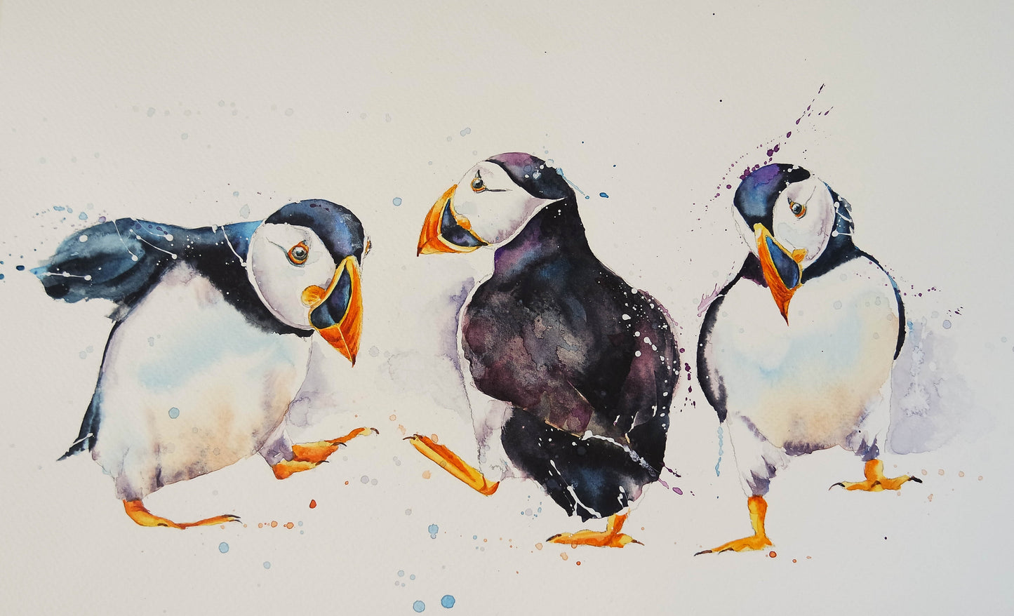 Dancing Puffins ( four cards)