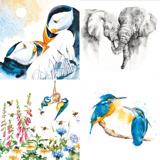 Perfect pairs, cards with pairs on each card, elephants, kingfishers blue tits and puffins