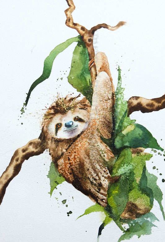 'Selwyn' the smiling Sloth