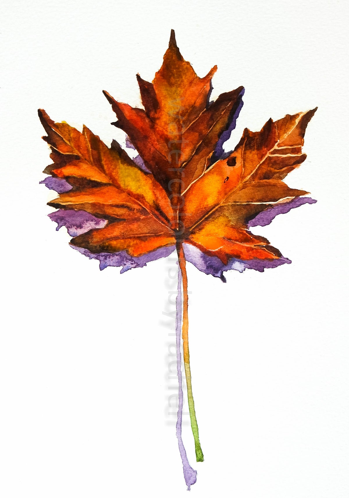 Autumn Leaf