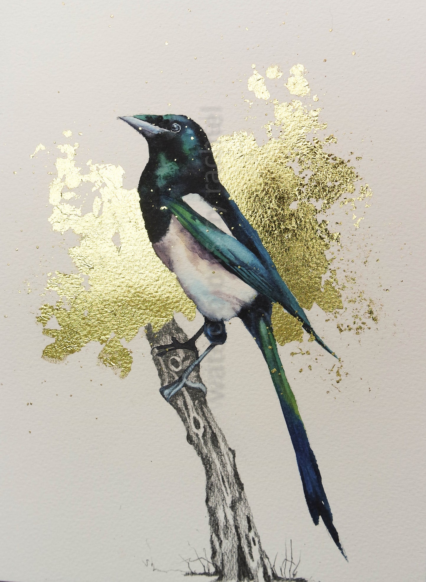 Golden Magpie