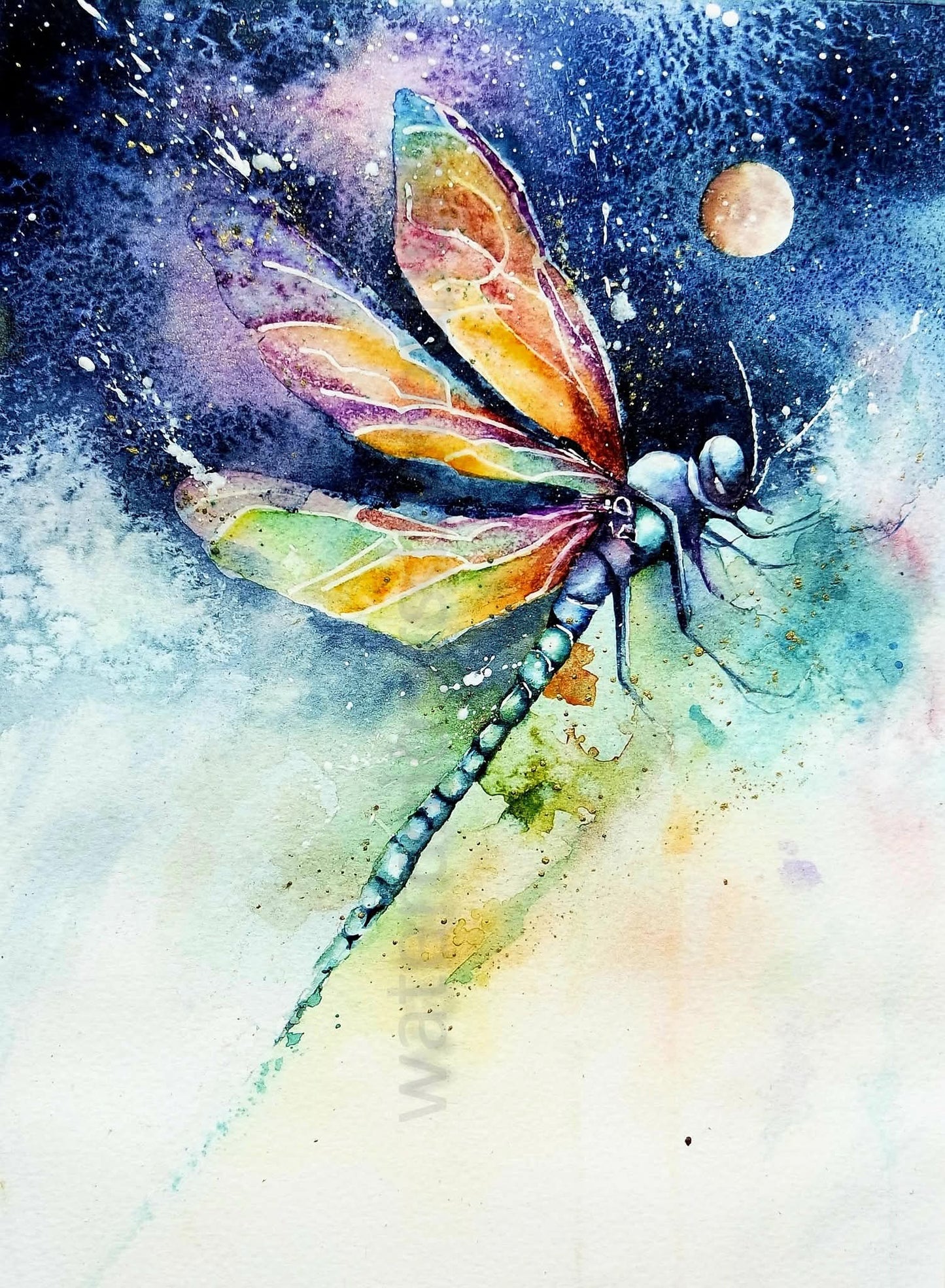 Dragonfly Dreams