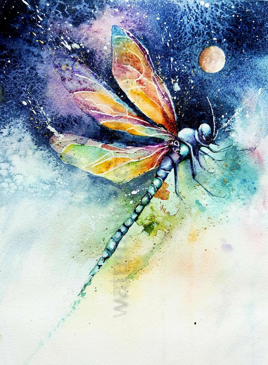 Dragonfly Dreams