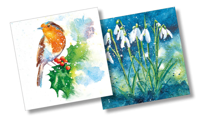 Christmas packs, Robin and snowdrops  (10 cards)