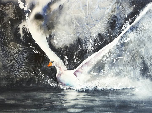 Swan Landing