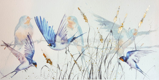 Memories of summers past.....( swallows)