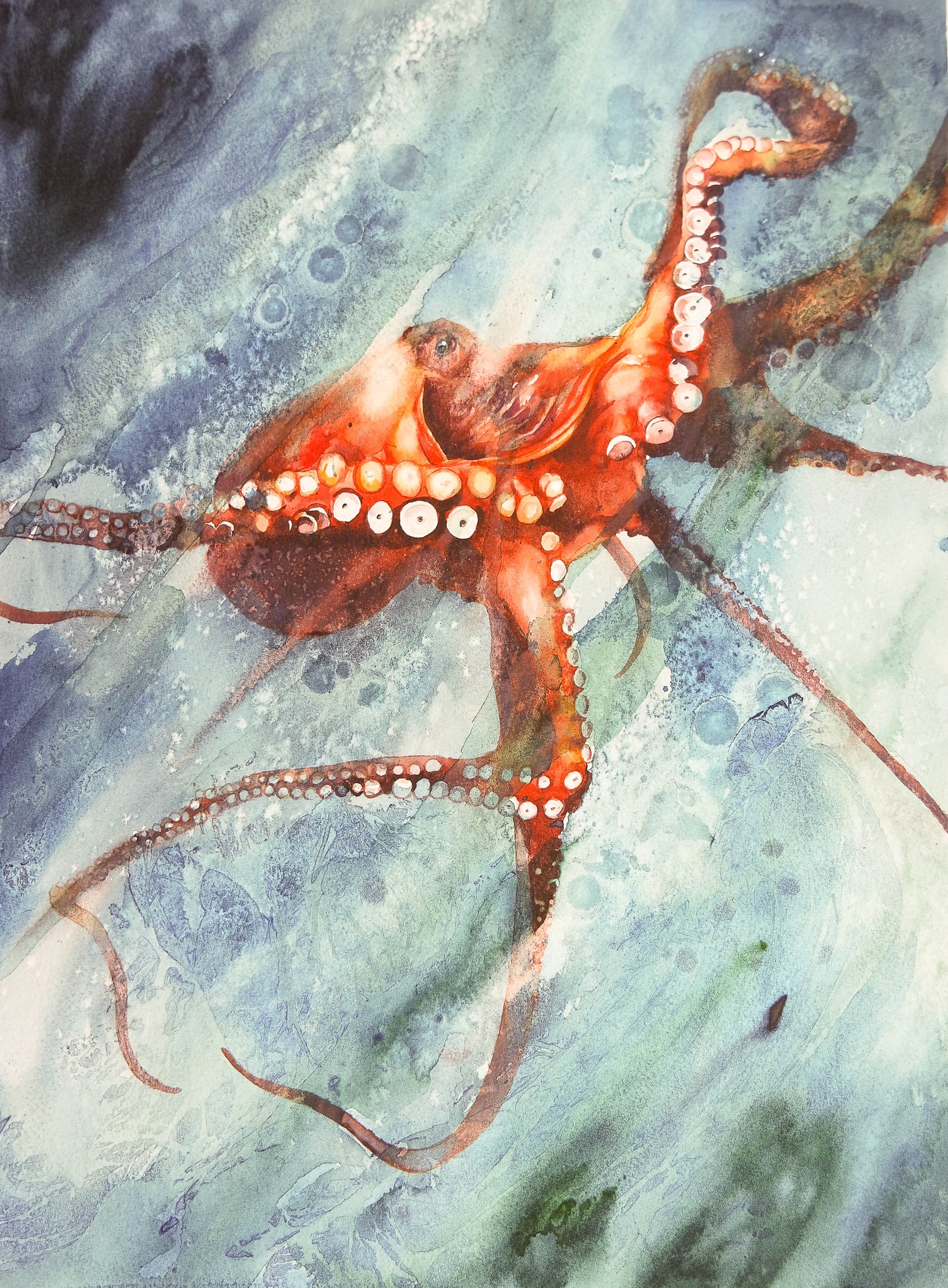 A Frothing Octopus (Print)
