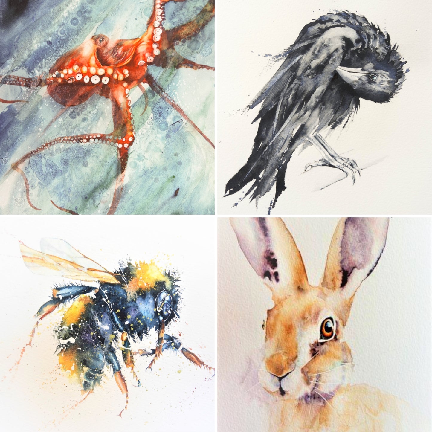 Rachel's wildlife artist of the year pieces ...crow, hare, bee and octopus