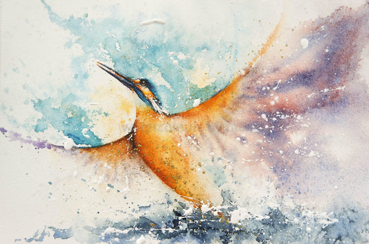 I Rise ( kingfisher)