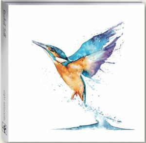 Note card Wallet  ( 8 cards) - Devon Colour