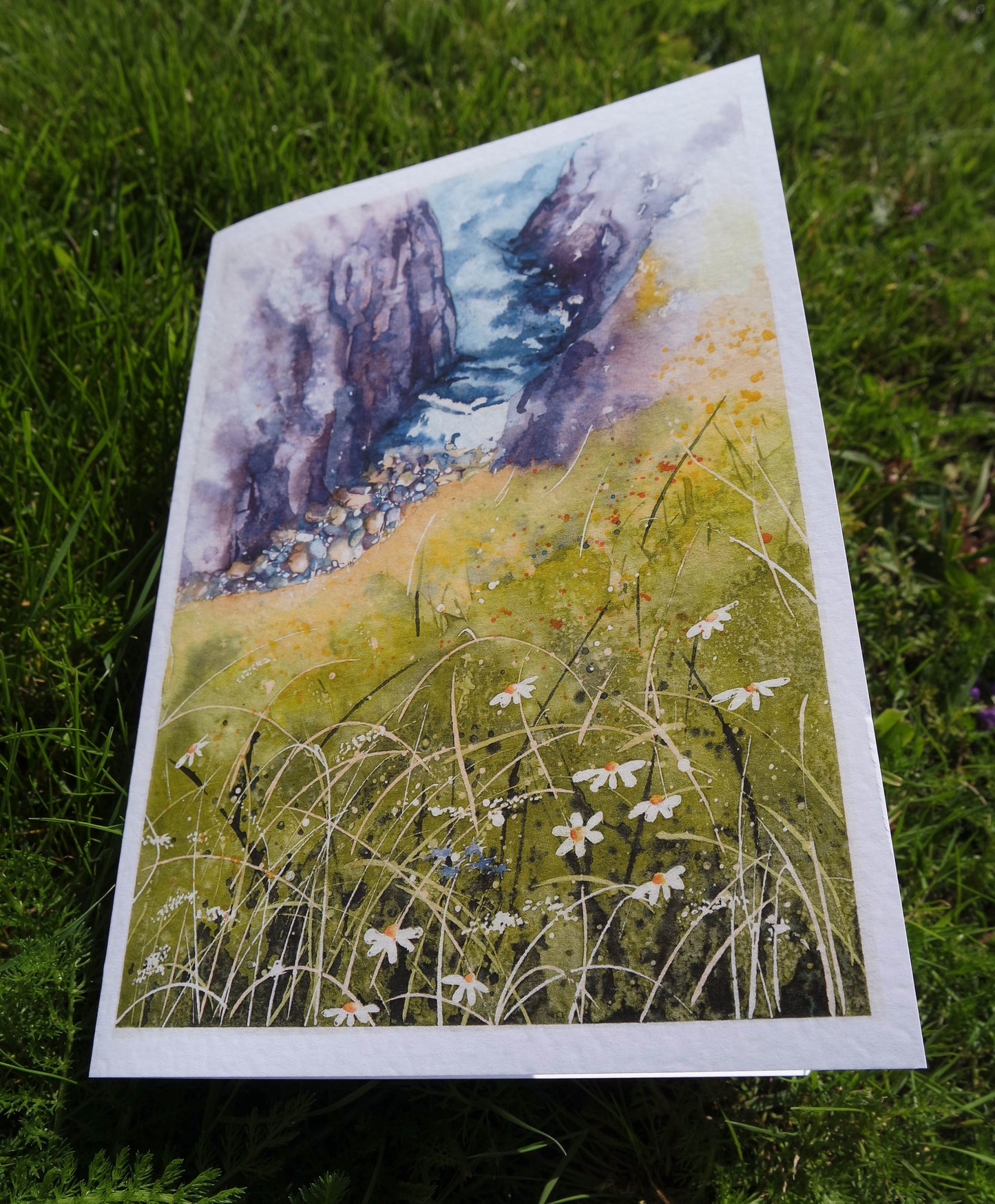 Devon collection (4 cards)