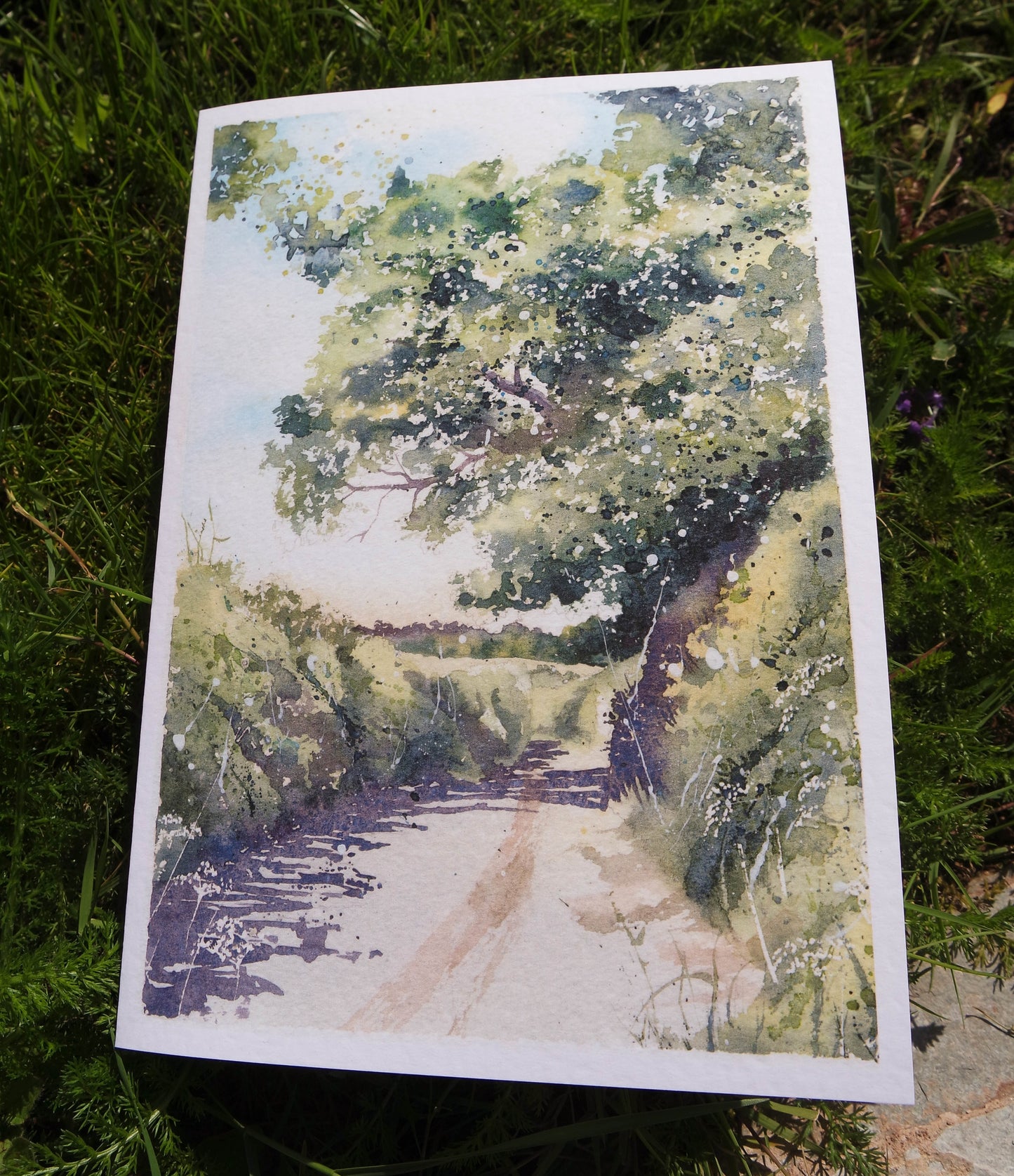 Devon collection (4 cards)