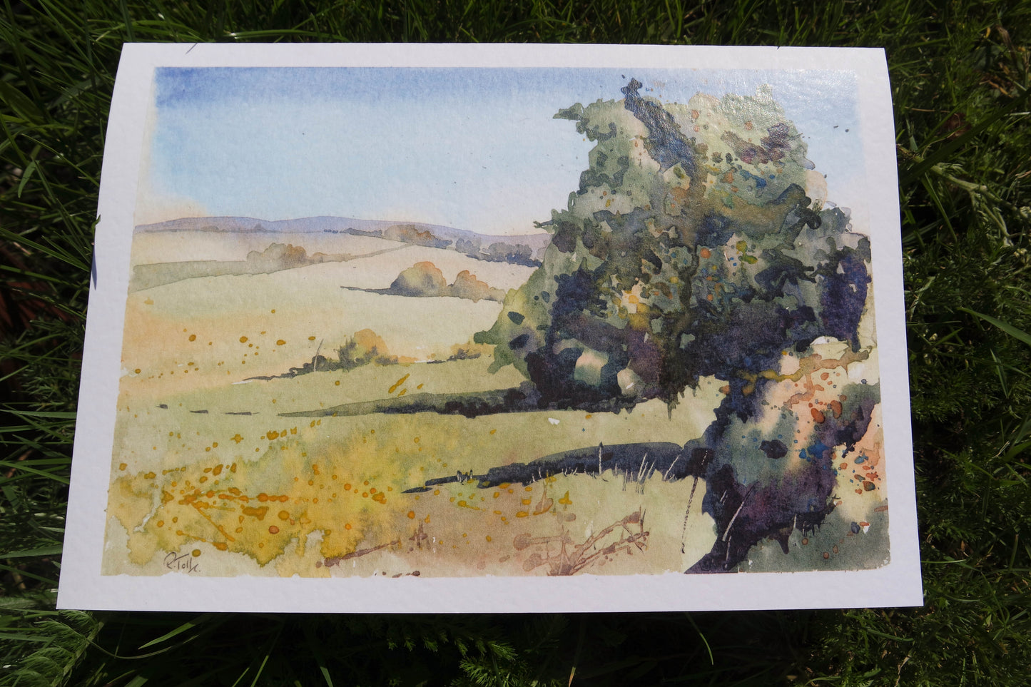 Devon collection (4 cards)
