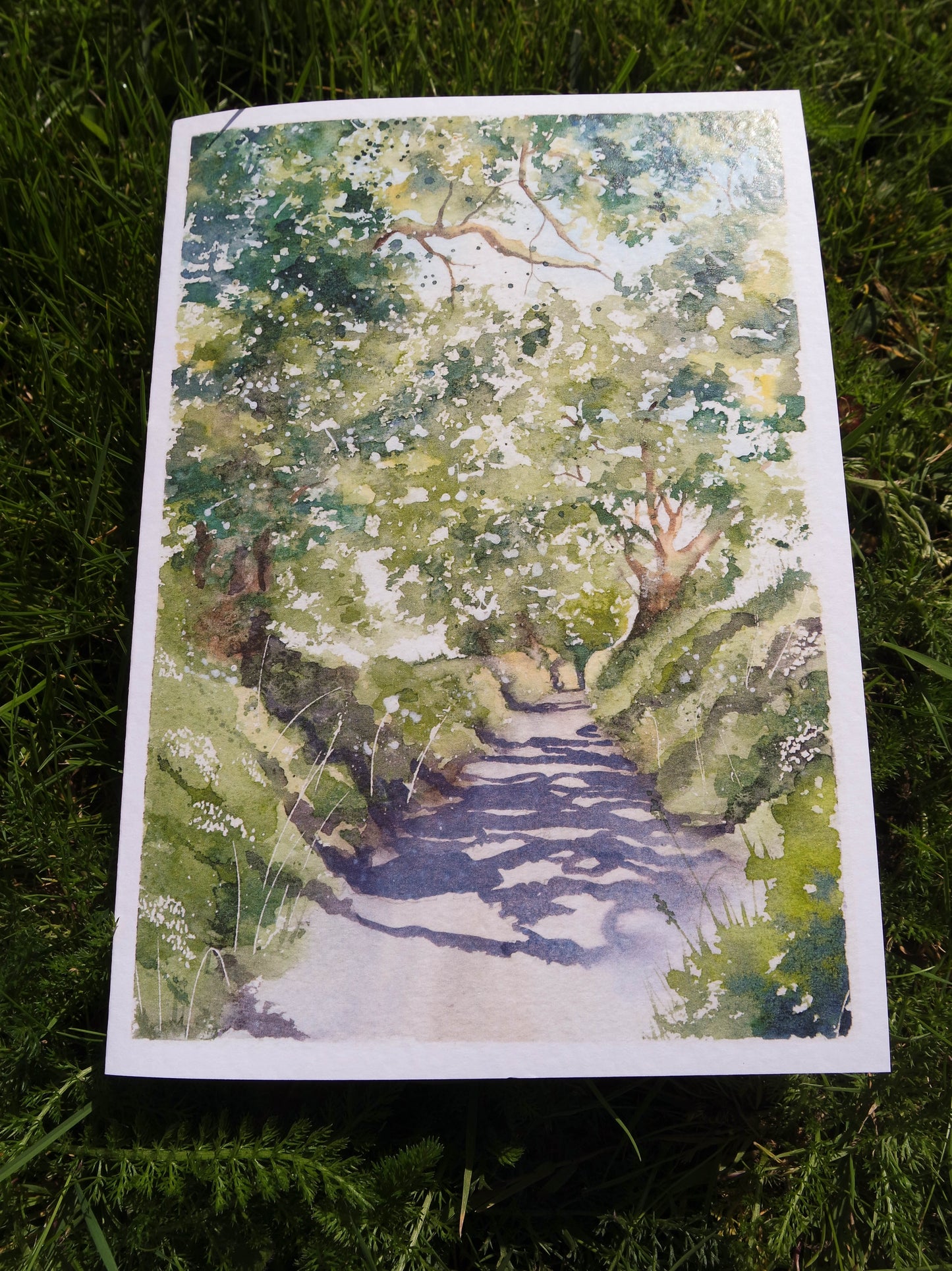 Devon collection (4 cards)
