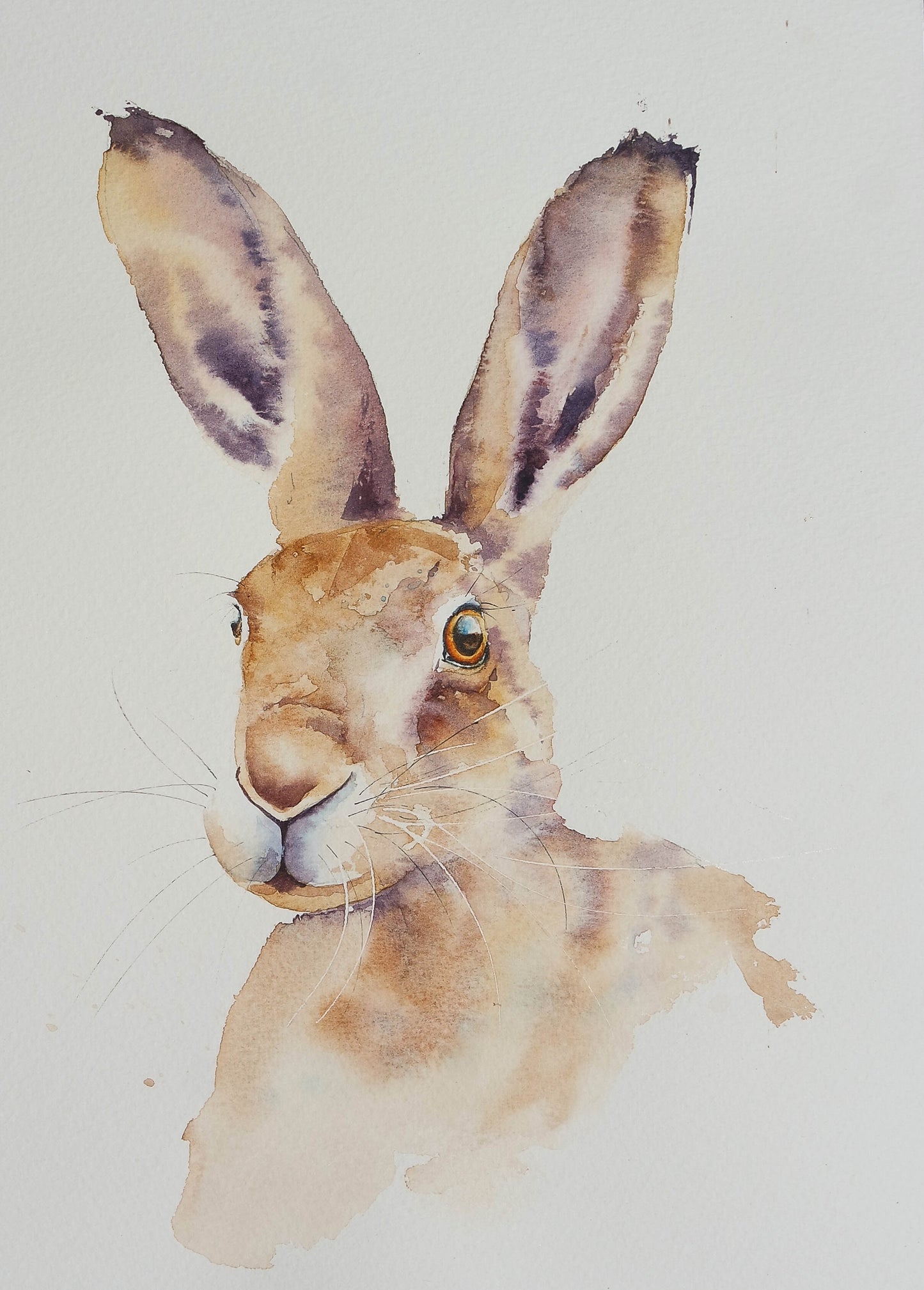 portrait of a hare (2)