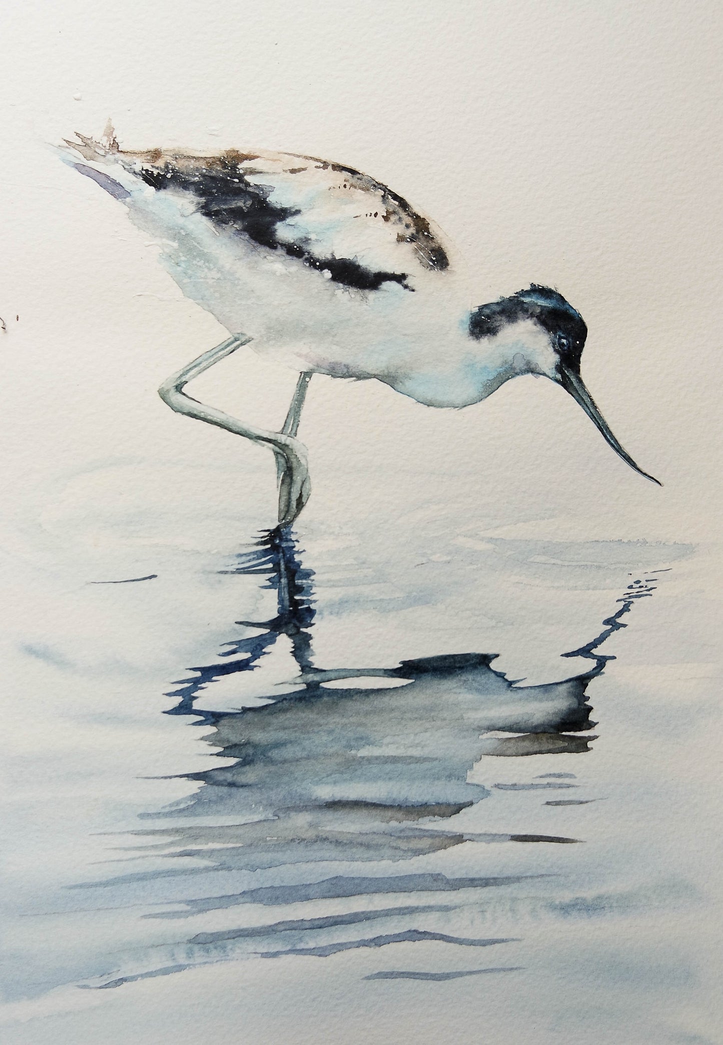 Sea Birds ( 5 cards)