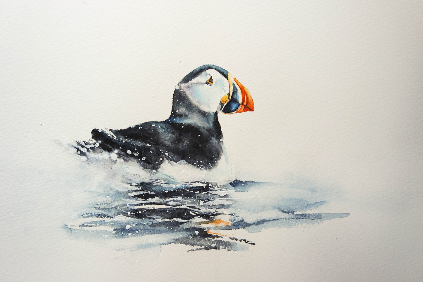 Sea Birds ( 5 cards)