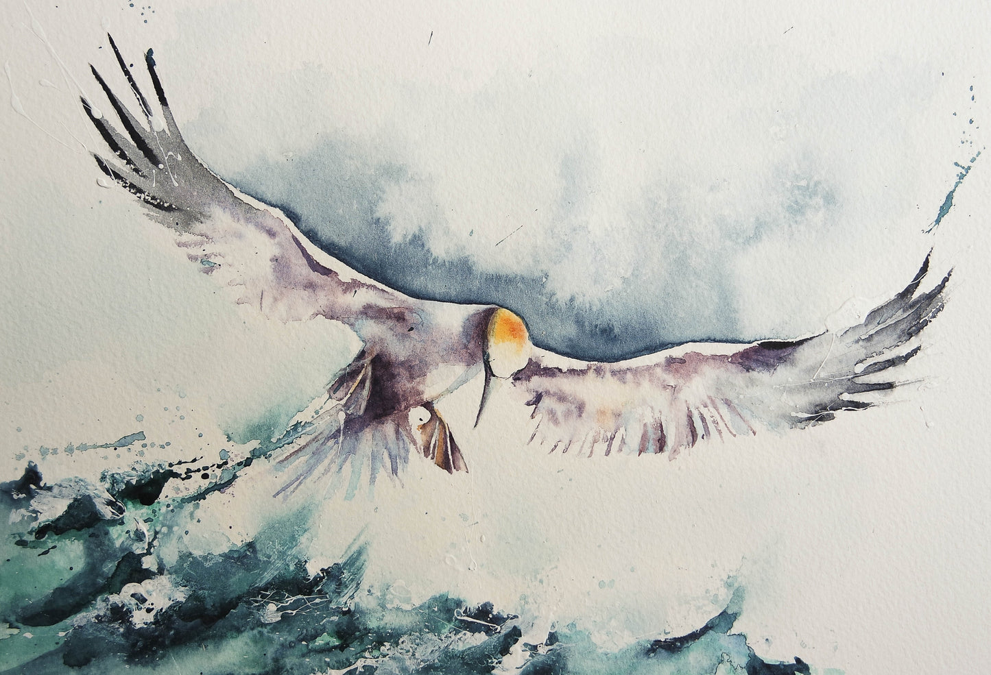 Sea Birds ( 5 cards)
