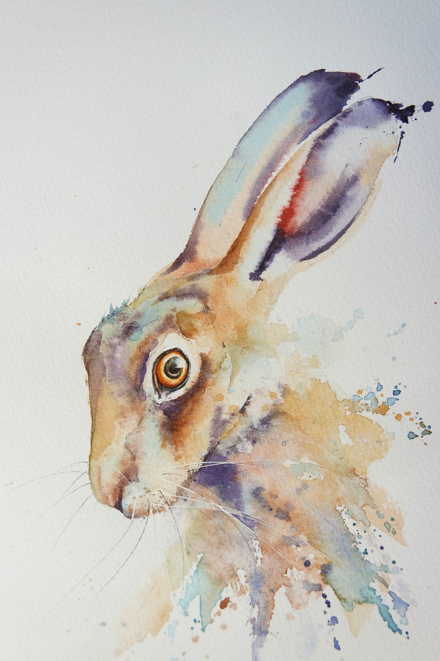 Watercolour British Wildlife ( 4 cards)