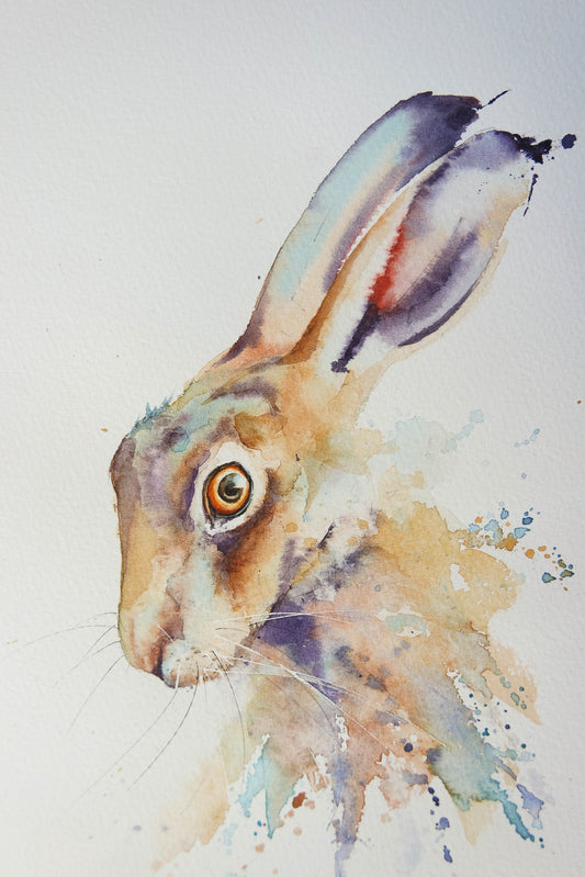 shy hare 2