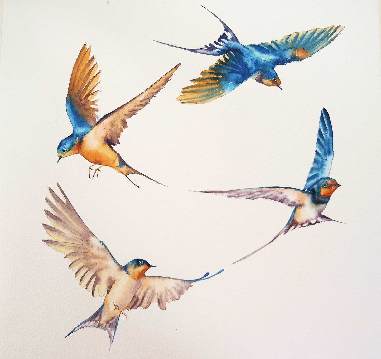 ***NEW*** The birds and the bees