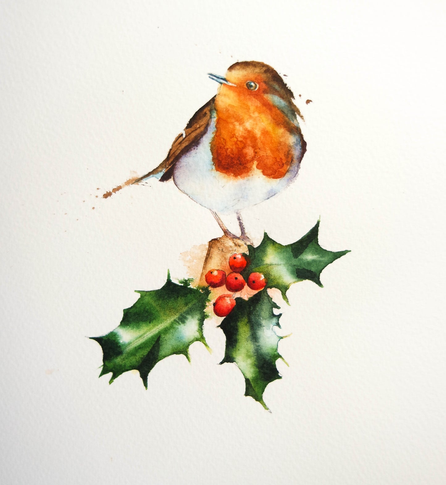 Robin Christmas Cards  ( 4 cards)