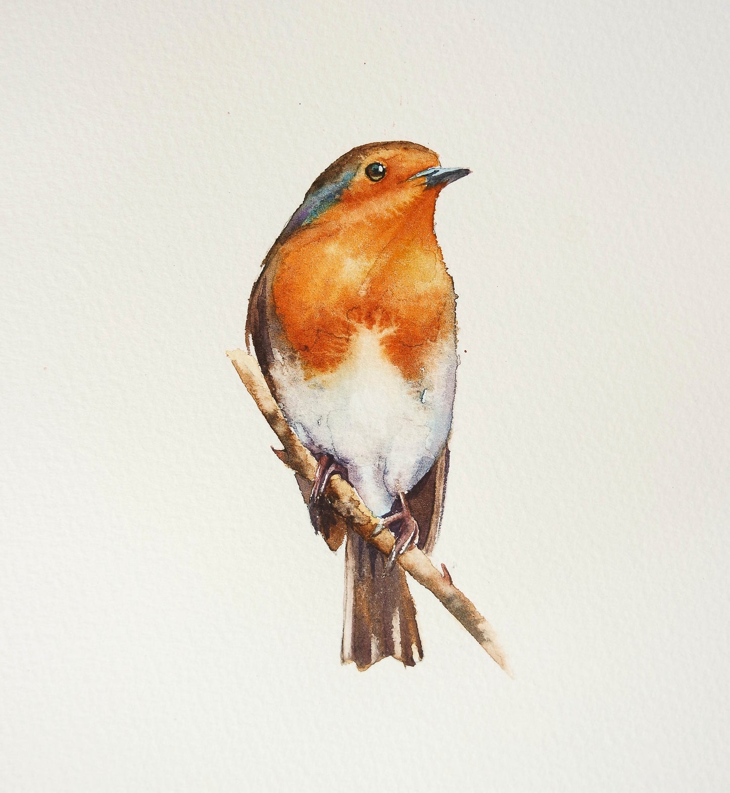 Robin Christmas Cards  ( 4 cards)