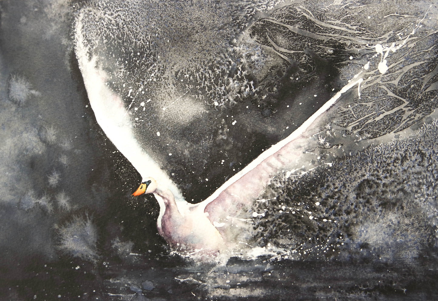 swan landing