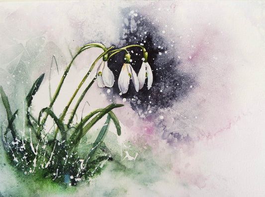Snowdrops ....Theirs is a fragile but hardy celebration