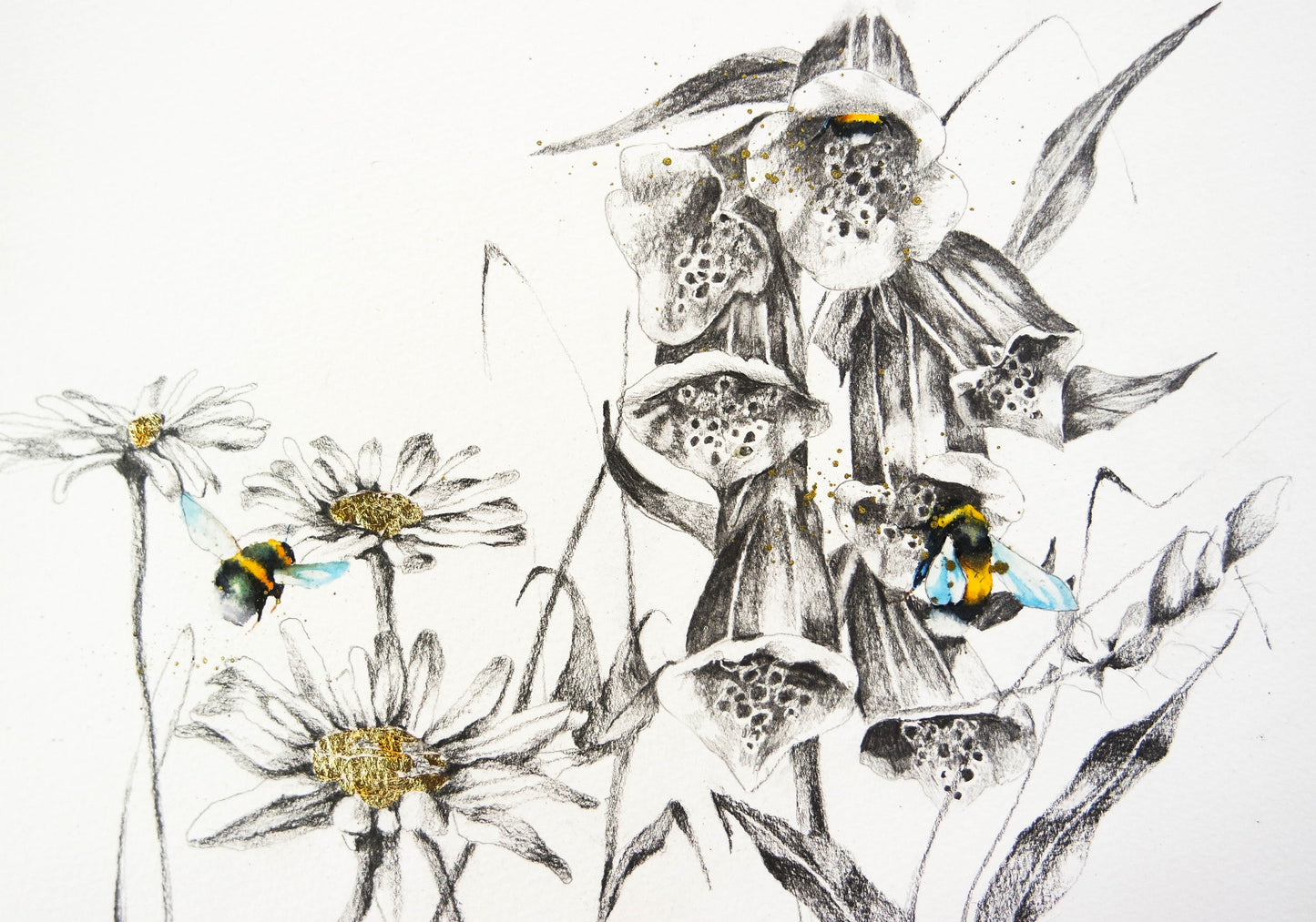 Bees, ladybirds  and sketches