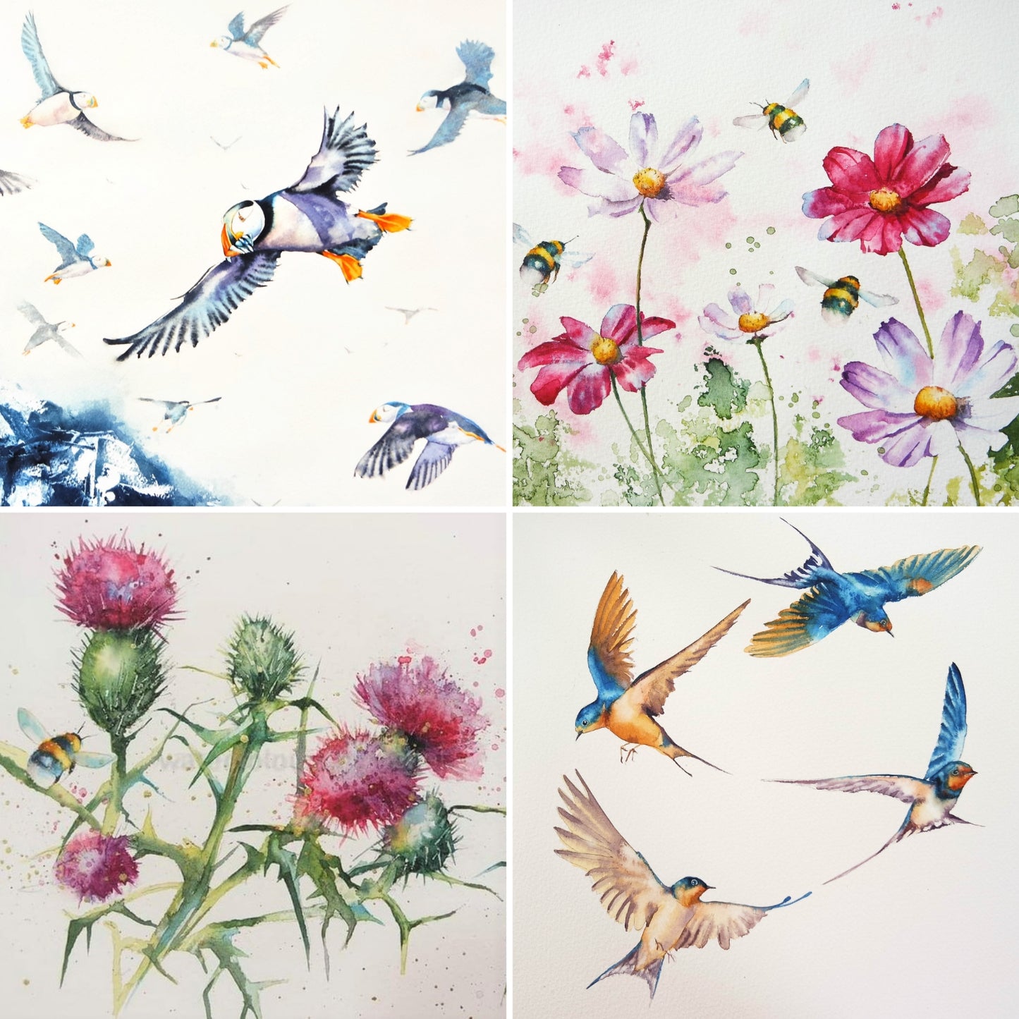 ***NEW*** The birds and the bees