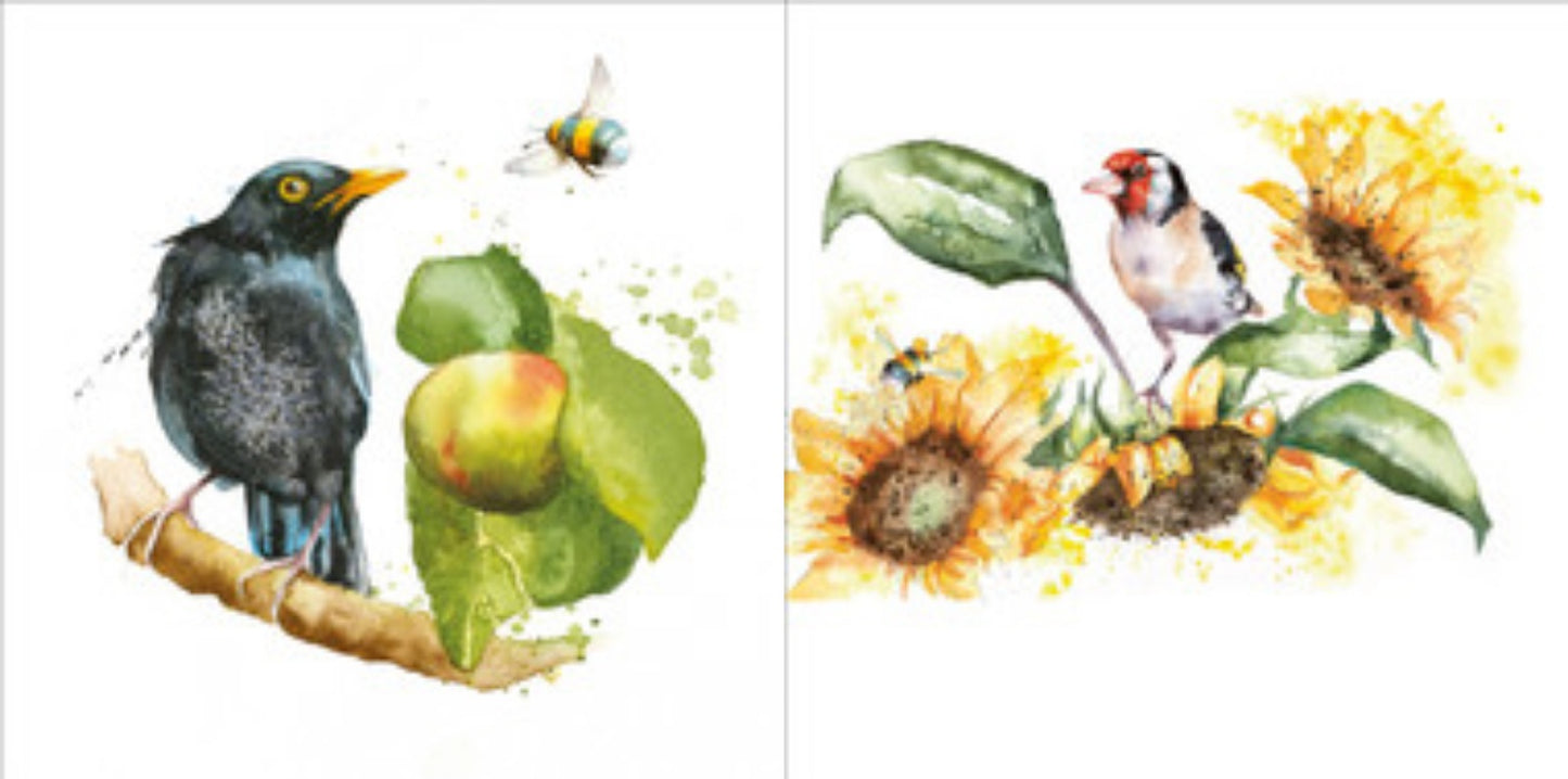 Bird Feeders , Goldfinches and Sunflowers, Blackbird and Apple( 2 cards)