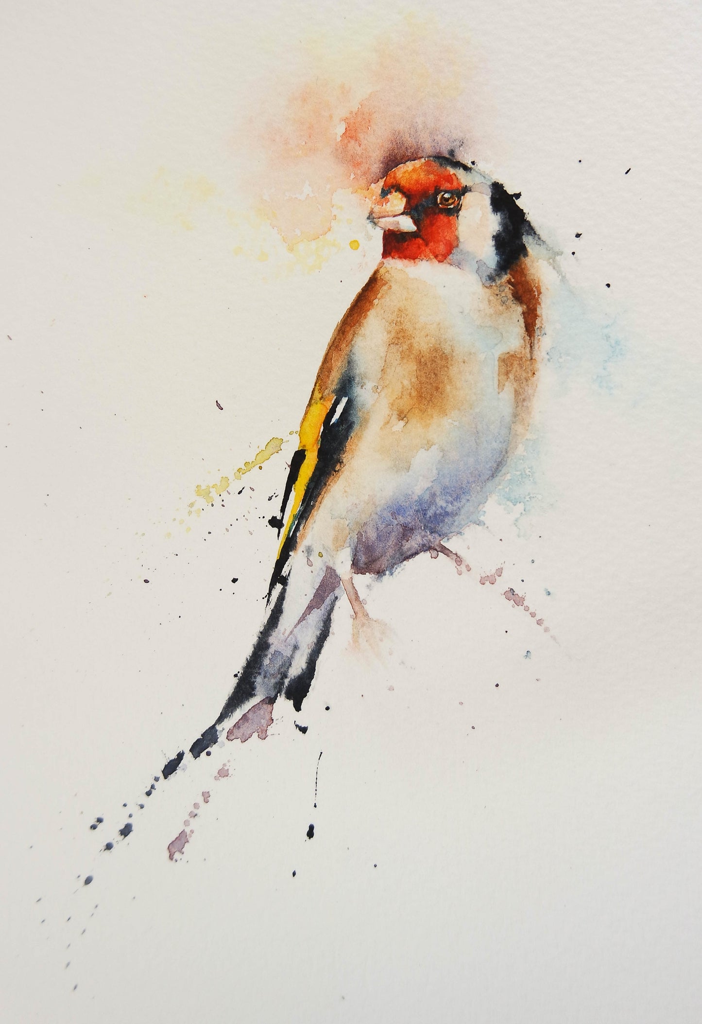 Goldfinch
