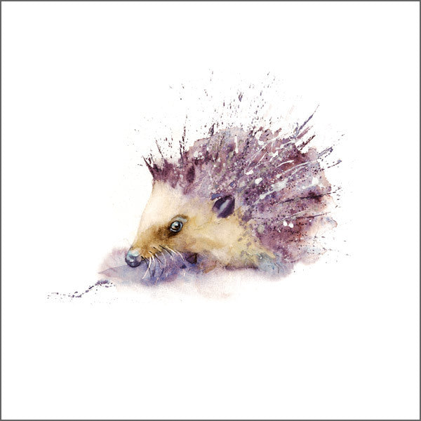 Favourite British Wildlife