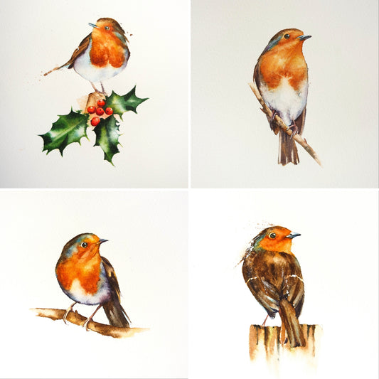 Robin Christmas Cards  ( 4 cards)