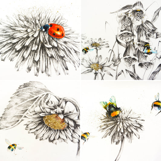 Bees, ladybirds  and sketches