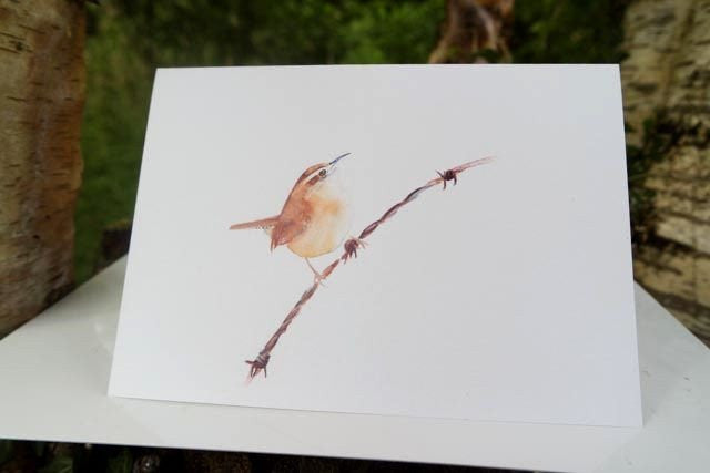 wren